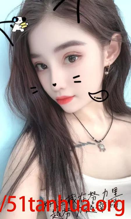 南开全套小家伙